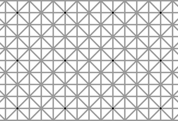 Can you see all 12 dots?