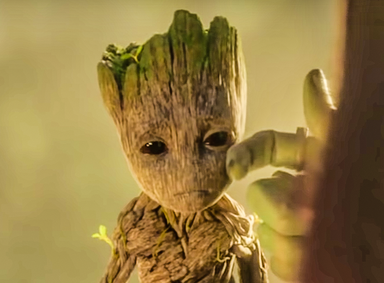 Even Groot goes capoot