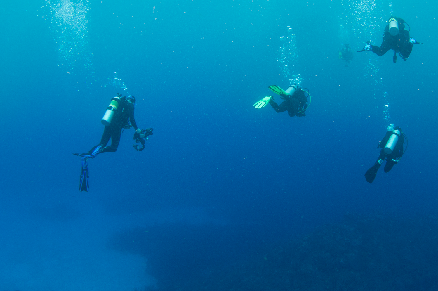 Divers heading back to the boat