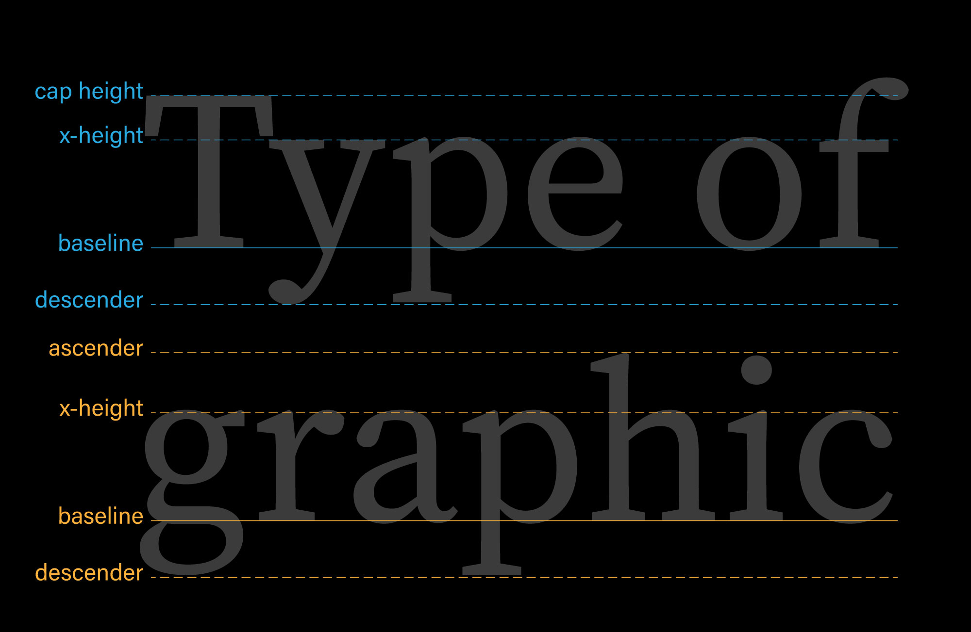 Lablelled lines snapped to various parts of type on a black background