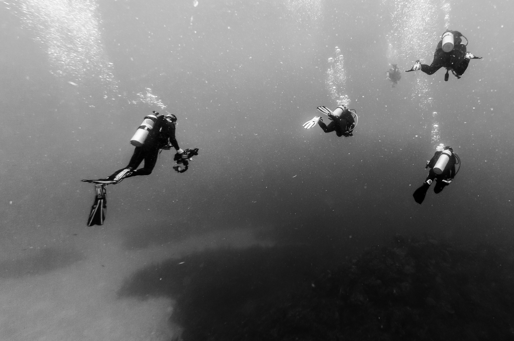 A monochrome seascape with divers