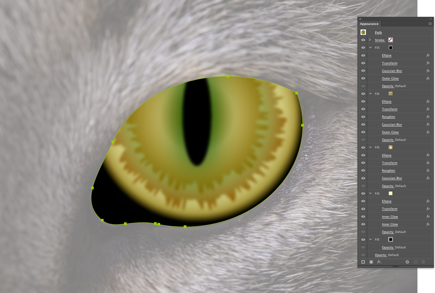 A cat's eye traced in Illustrator and the Appearance panel showing all the effects applied so far