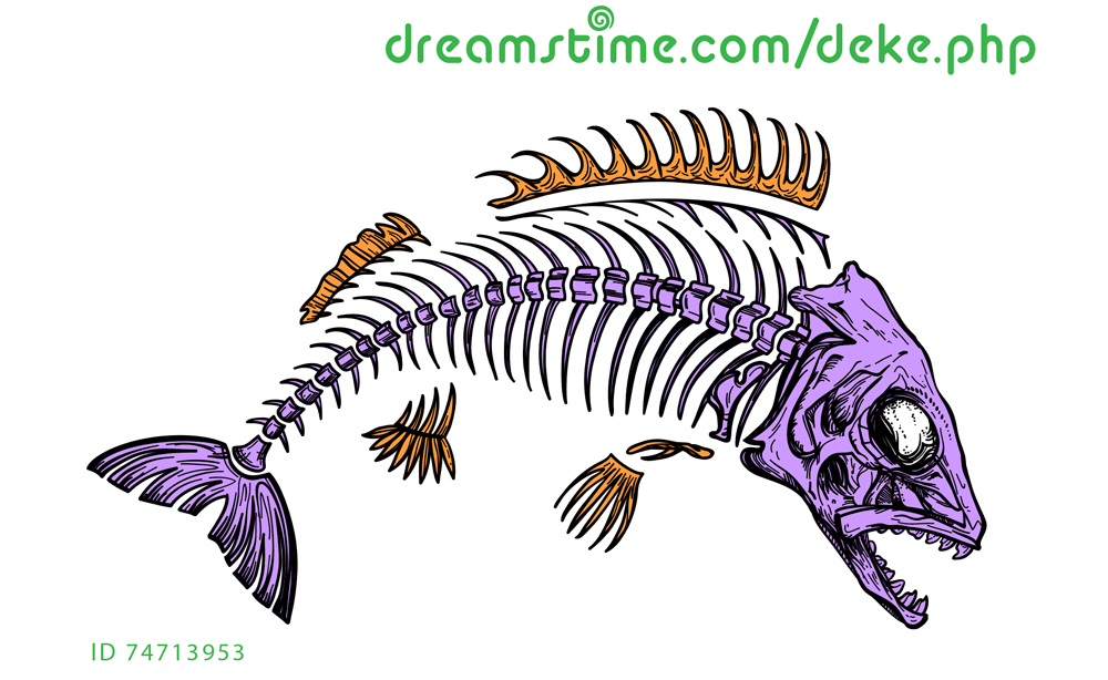 Fish skeleton from Dreamstime