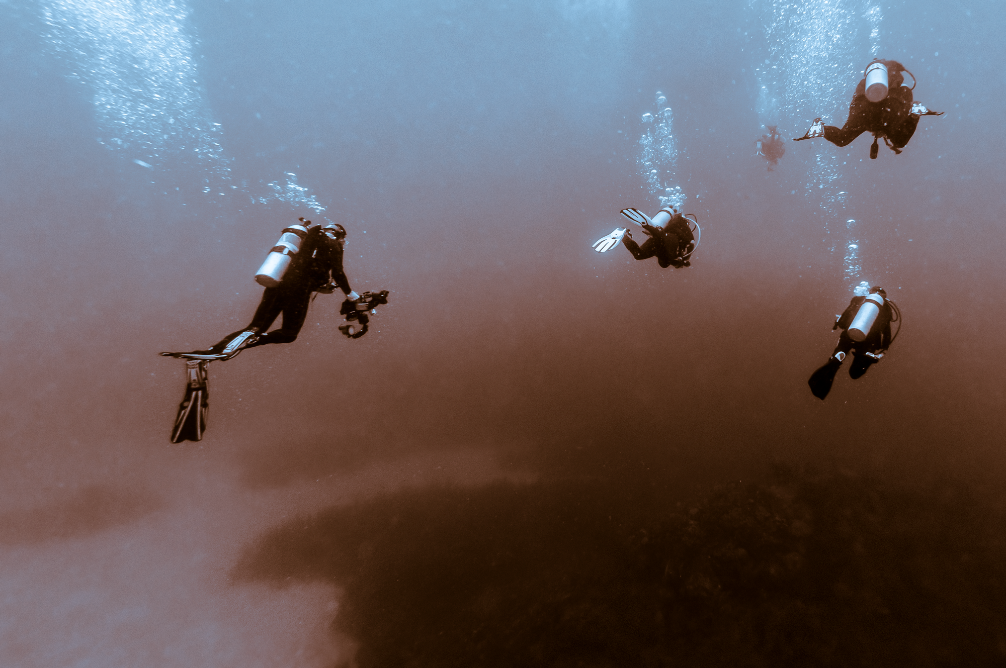 Divers in split tone