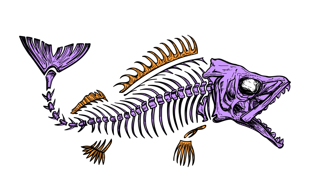 Fish turned predator with Adobe Illustrator's Puppet Warp Tool