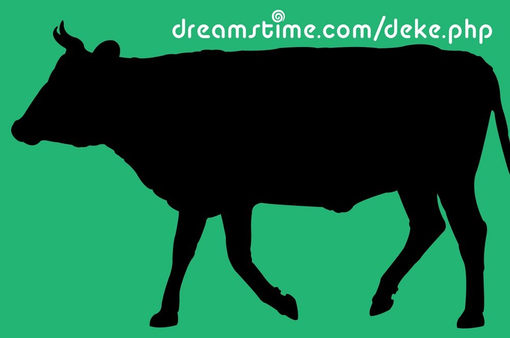 A cow silhouette from Dreamstime.com