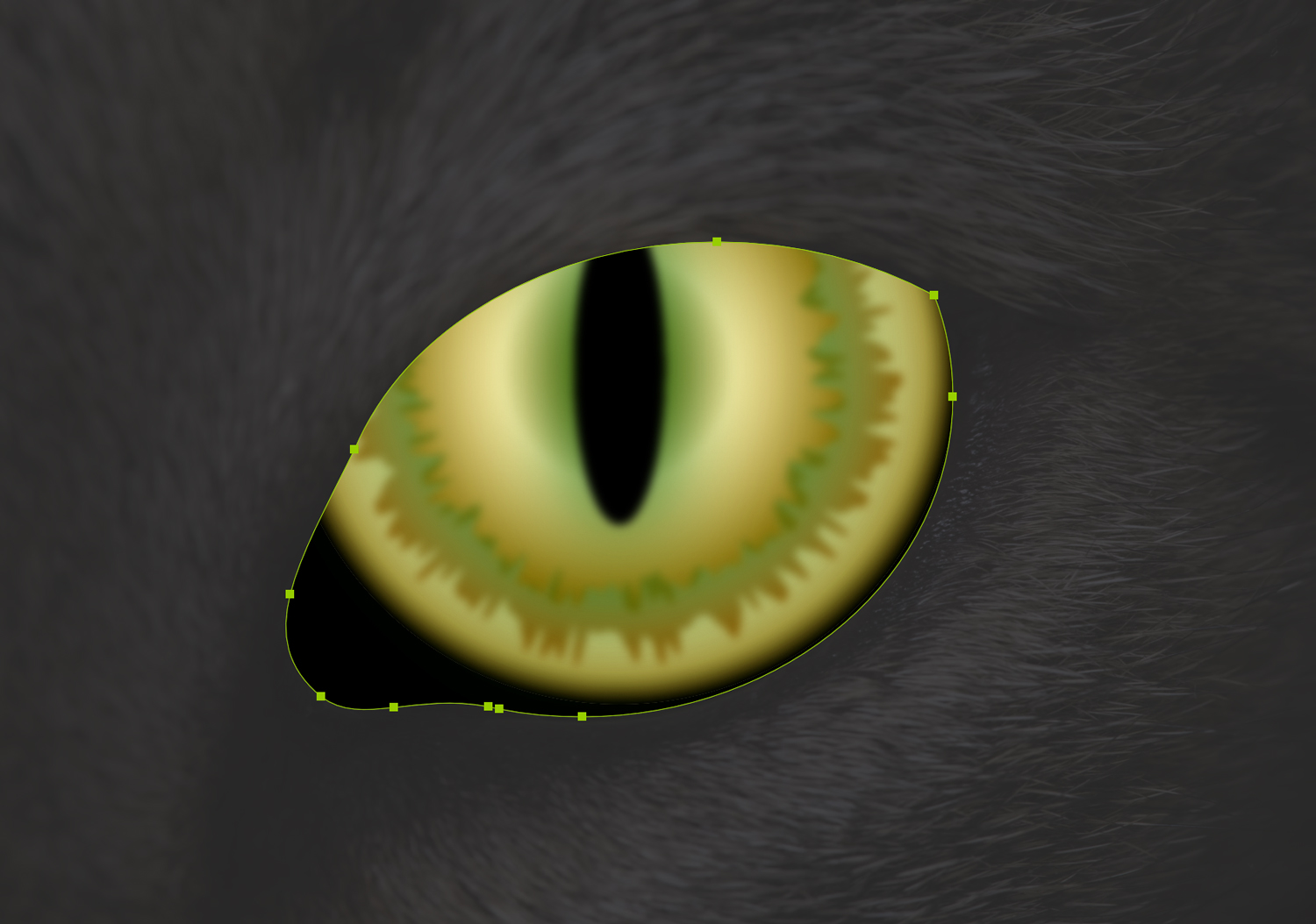 A green and yellow cat eye