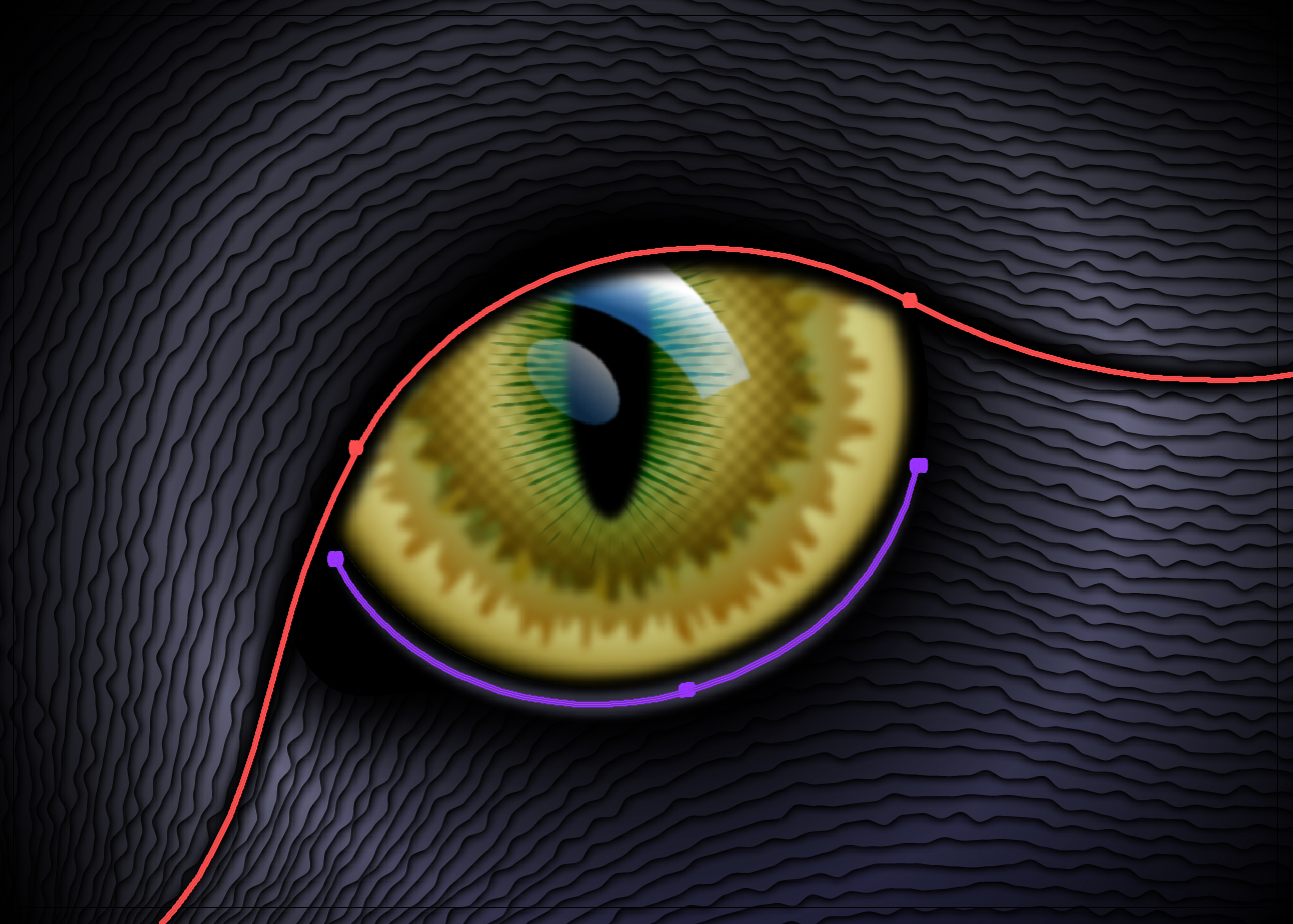 Cat eye with variable width strokes applied for depth