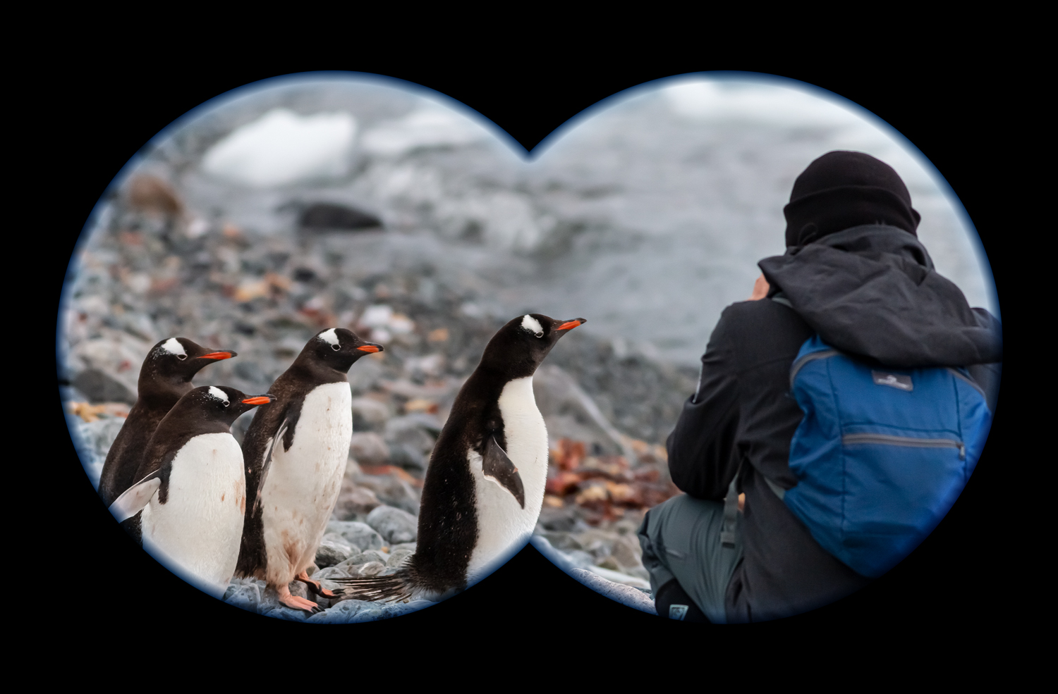 Binocular circles with halo effect added