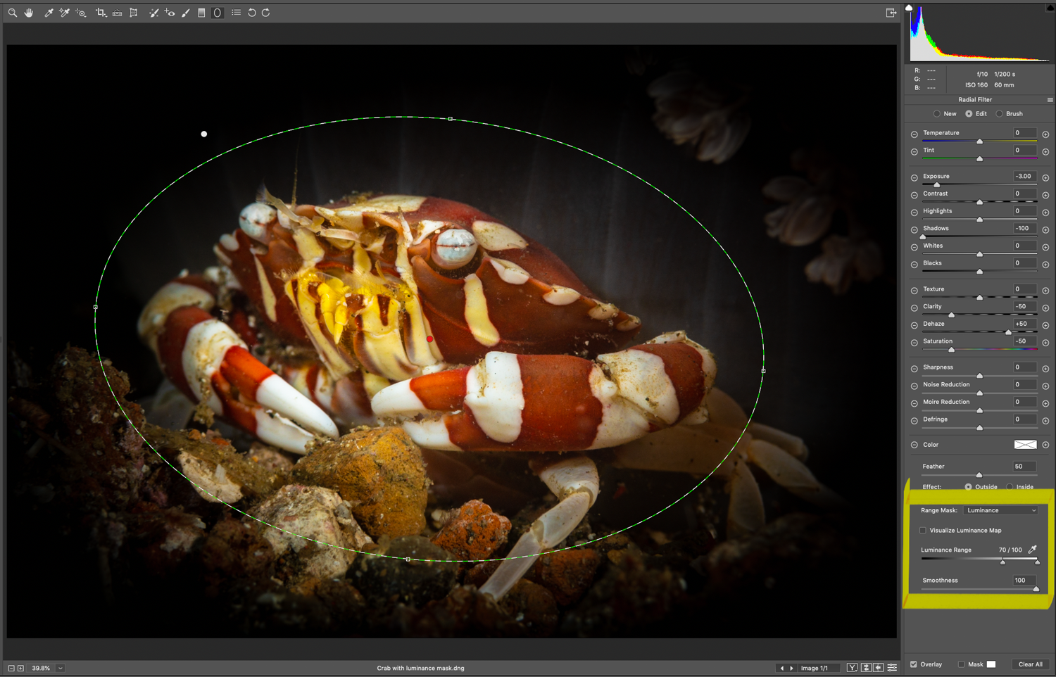 Using the new Radial Filter and Range Mask combination in Camera Raw