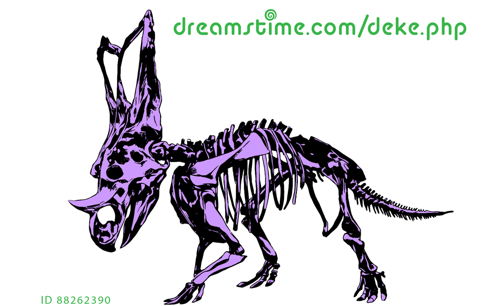 Triceratops skeleton from Dreamstime.com
