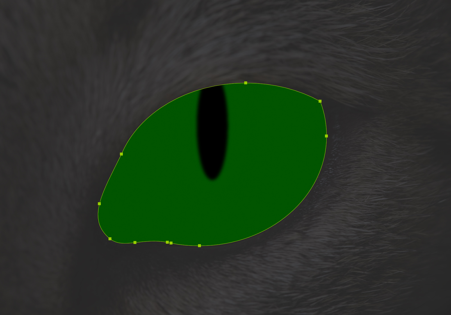 Cat eye shape filled with solid dark green