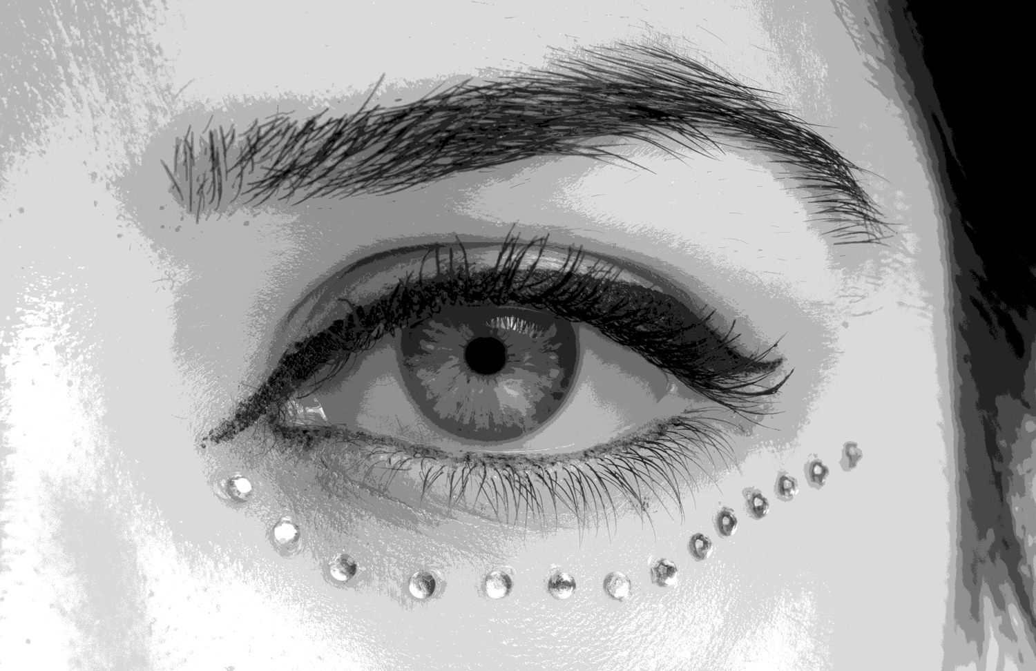A grayscale version of the posterized eye