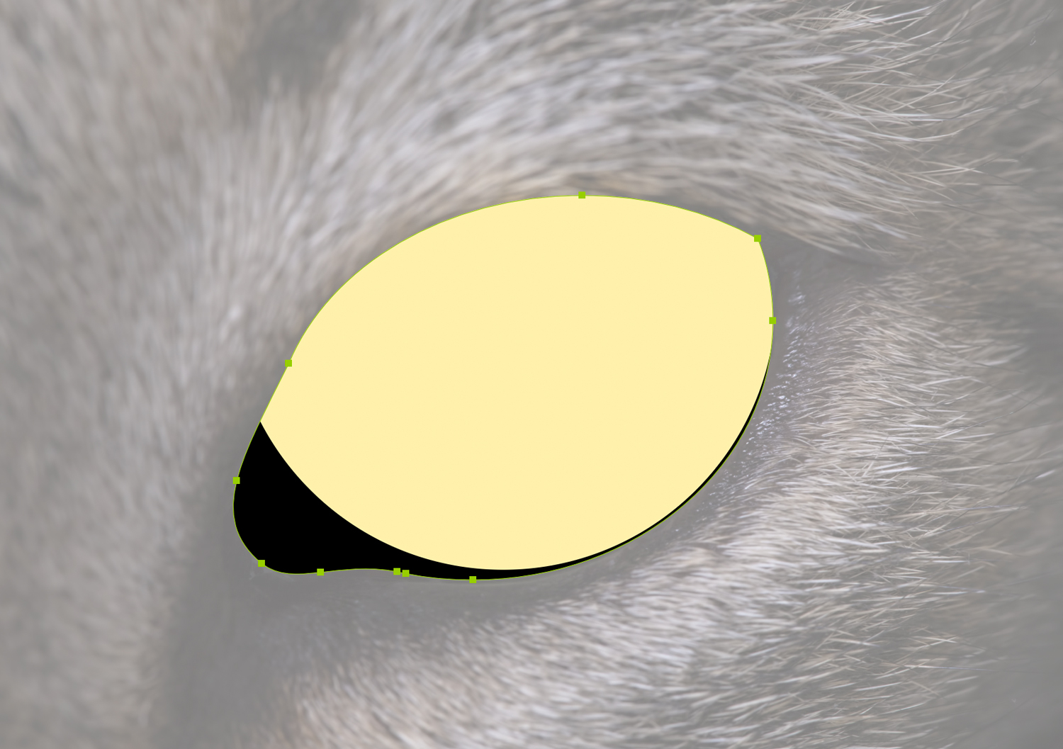 A yellow circle inside a black cat eye shape in Illustrator