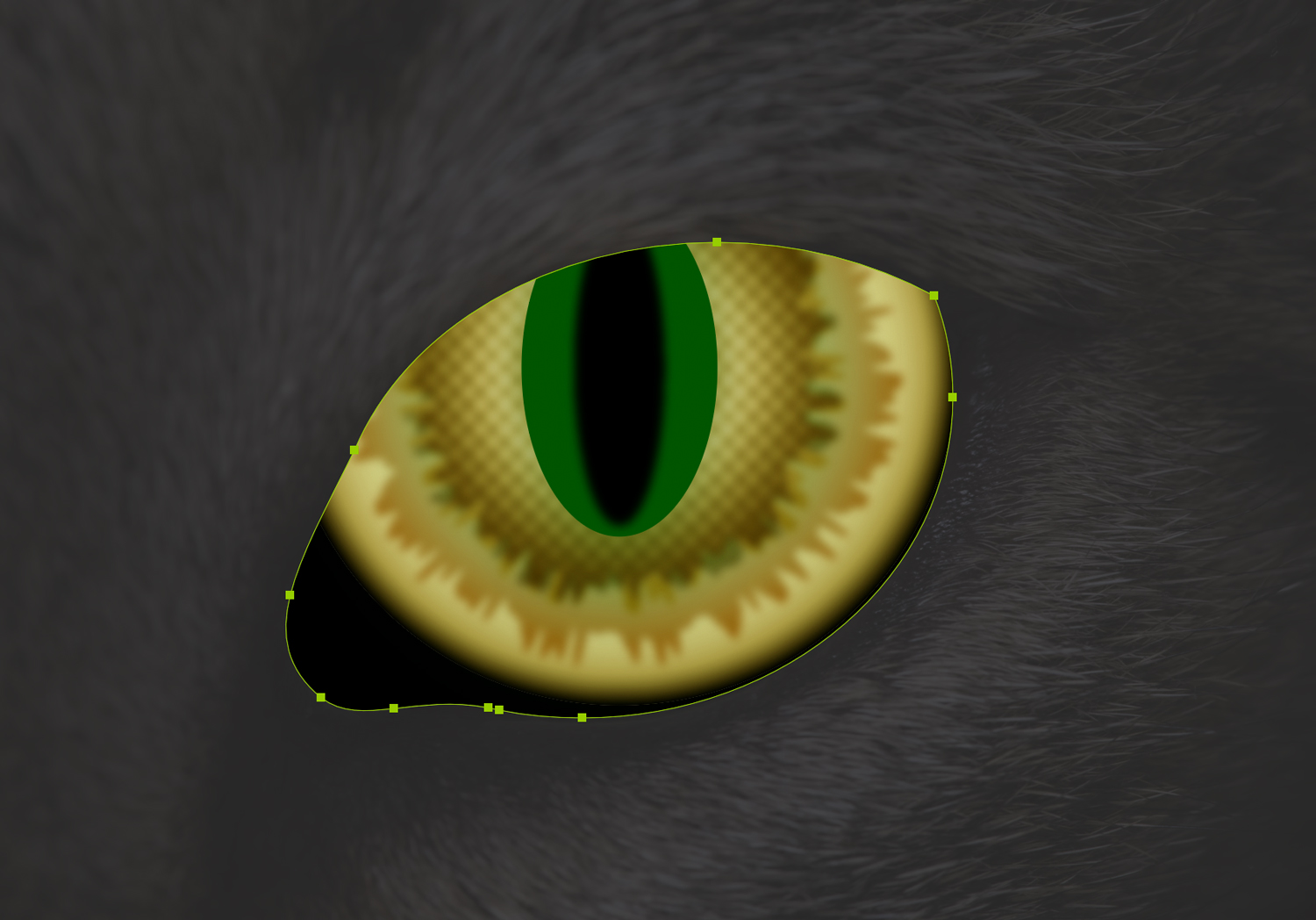 A cat eye with a green oval behind the pupil