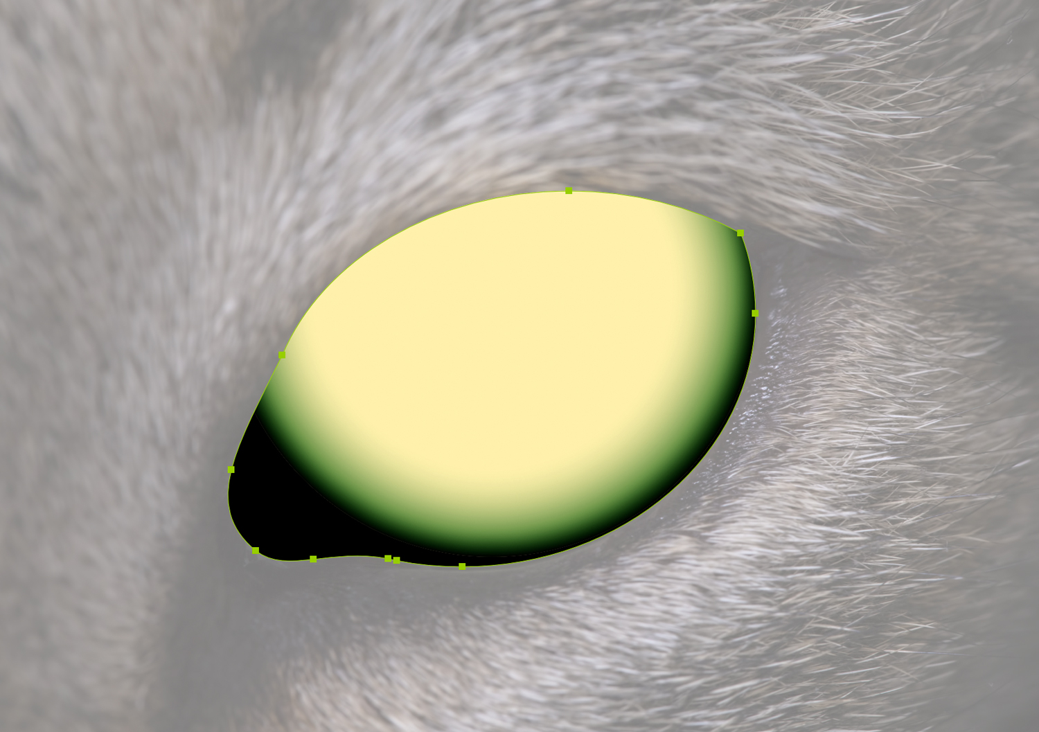 A second glow added to the cat iris in Adboe Illustrator