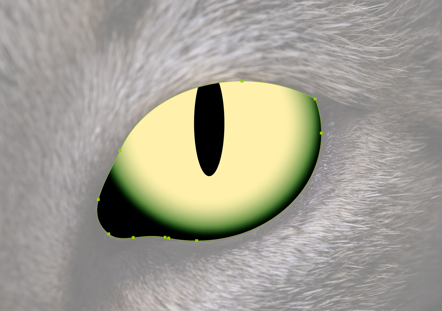 A skinny black ellipse creates the cat's pupil