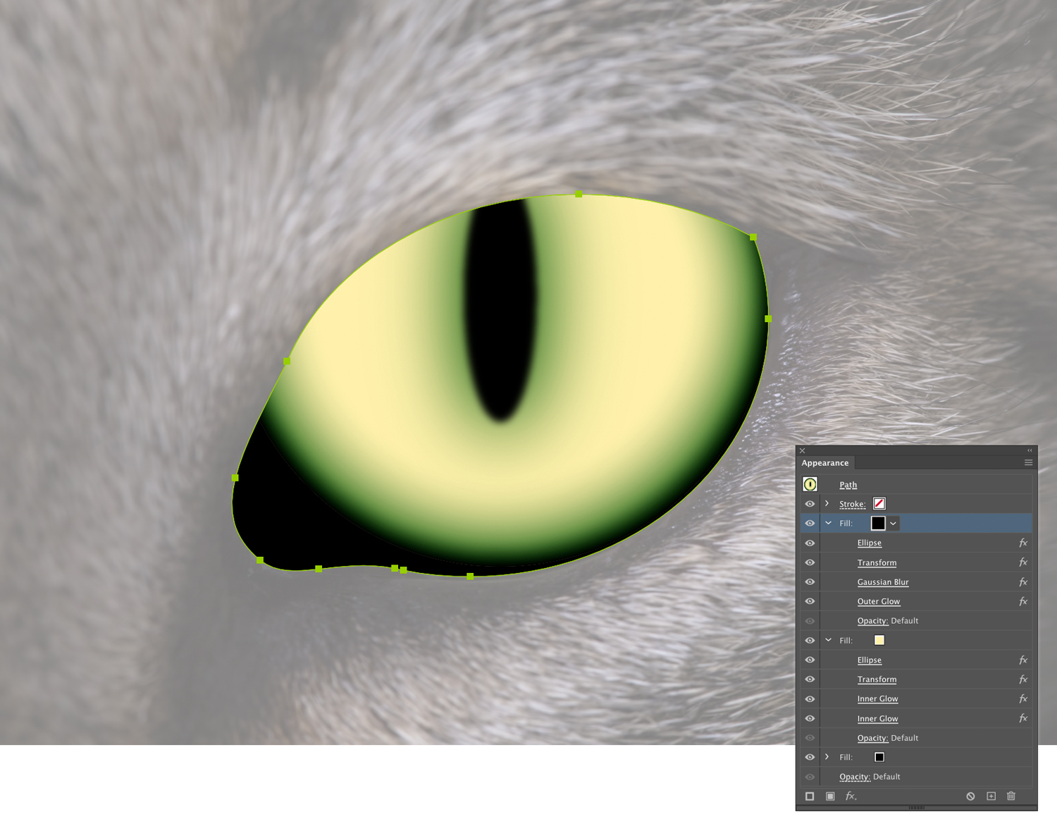 A basic cat eye created in Adobe Illustrator with the Appearance panel