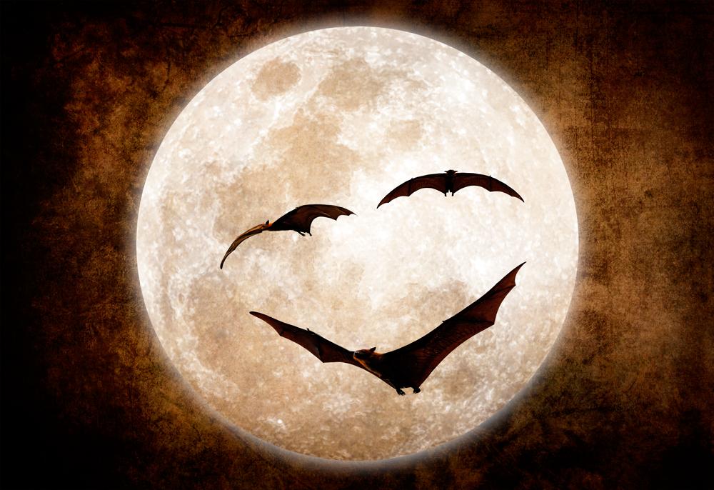 Create a BatFaced Moon for Halloween in a article