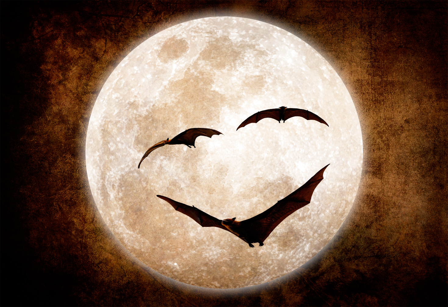 Bats composited against a moon in Photoshop make a Halloween happy face
