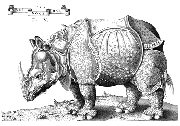 A 16th-century engraving of Dürer's Rhinoceros woodcut.