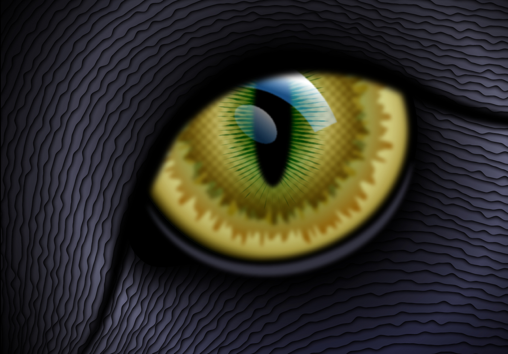 a cat eye created in Illustrator