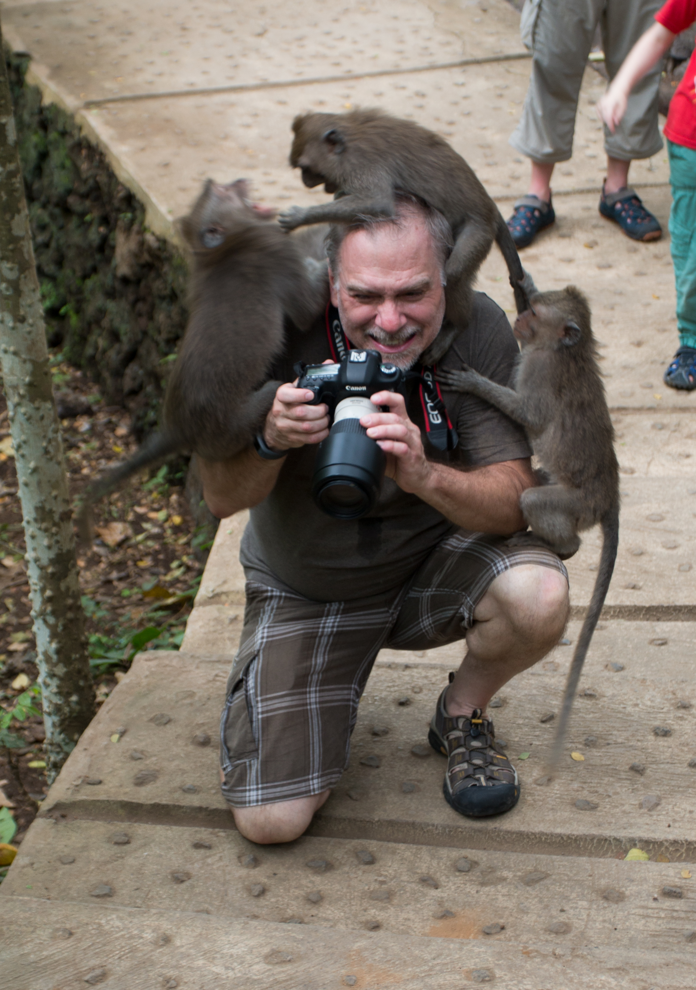 He's my Deke; no he's my Deke. —Monkeys of Ubud