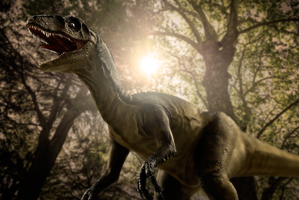 Creating depth of field around a 3D dinosaur