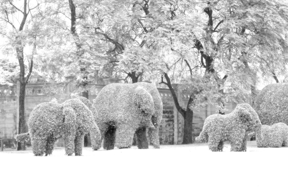 A snowy infrared effect created in Photoshop