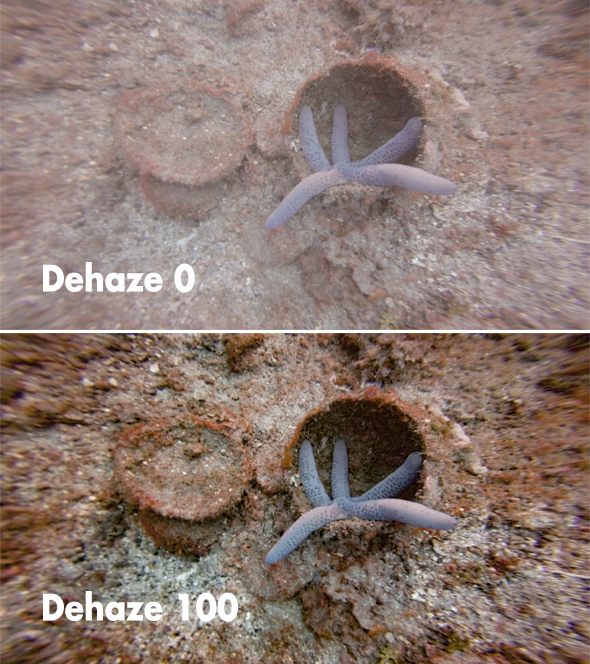 Sea star before and after dehazing