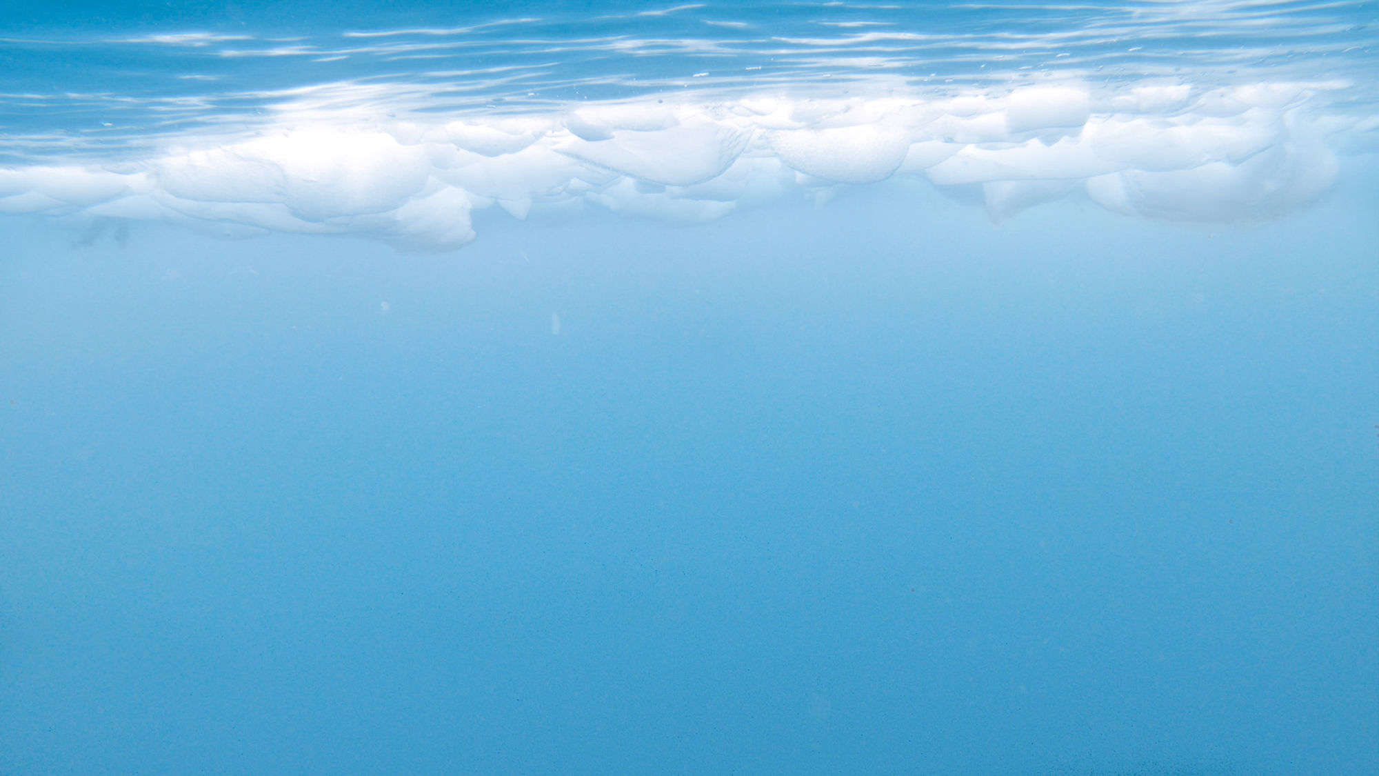 Floating ice in blue water