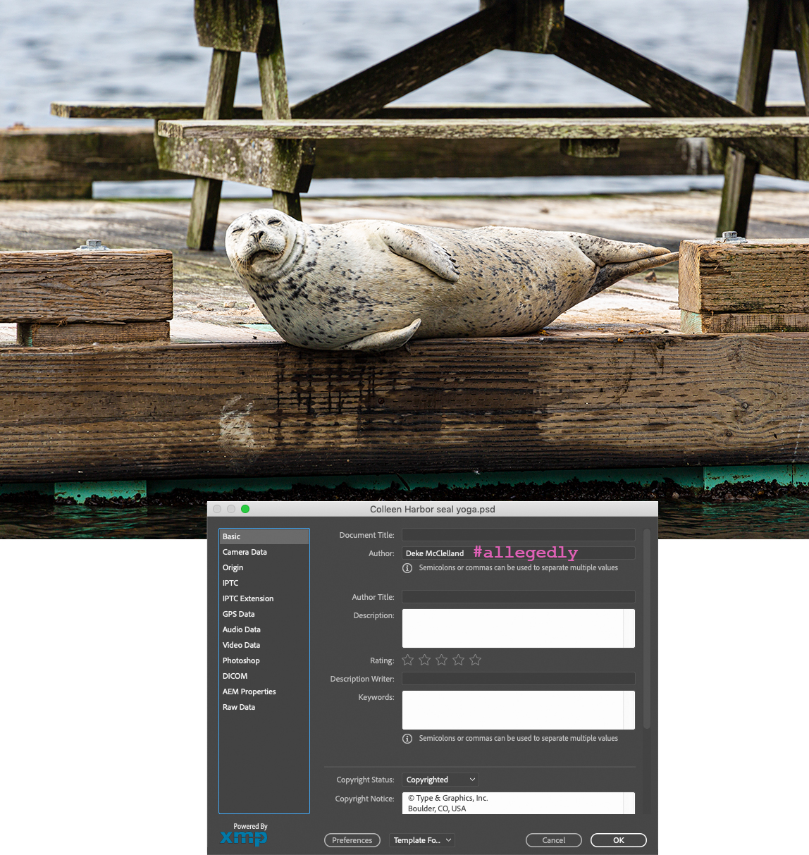 A photo of a harbor seal with the File Info dialog box and a snarky hashtag