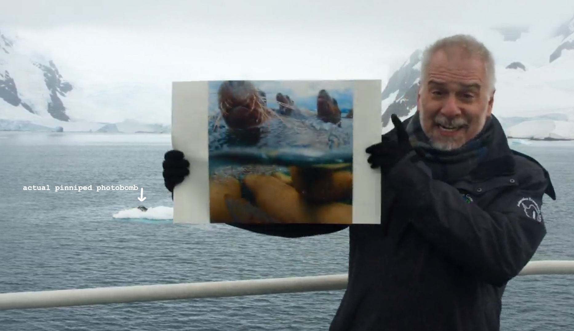 A leopard seal floats by on an iceberg as Deke discusses his project