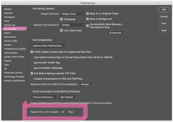 Photoshop's File Handling Preferences dialog box