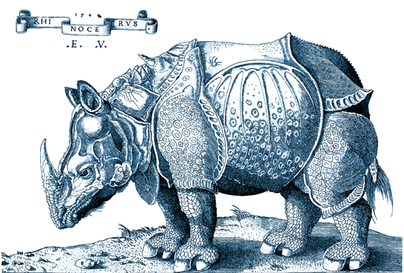 A vector-based tracing of Dürer's Rhinocerous in Adobe Illustrator