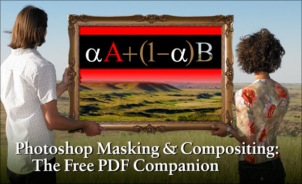 The robosapien companion free pdf downloads The robosapien companion free pdf downloads