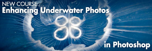 Enhancing Underwater Photoshop with Photoshop