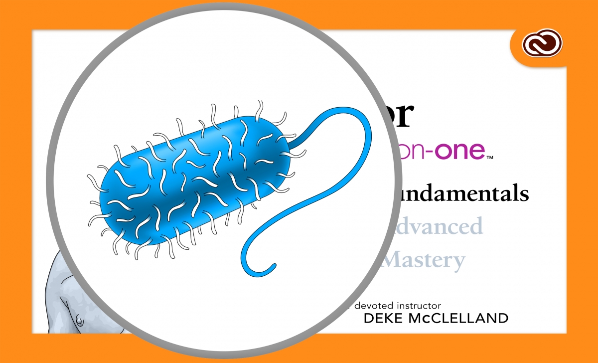 Drawing a Bacterium with Gradient Mesh in Adobe Illustrator, a deke.com